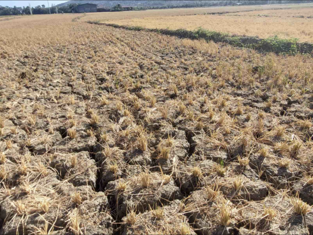 Farmlands in Bulalacao, Oriental Mindoro are drying up due to a prolonged dry spell brought by the El Niño phenomenon as seen on this photo from the Bulalacao local government